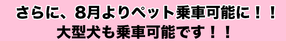 ペット乗車可能